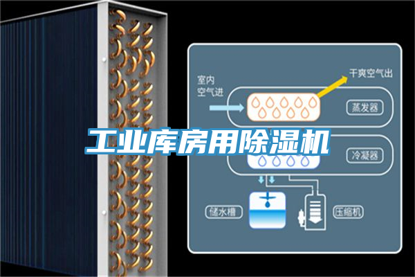 工業庫房用小黄片软件免费下载