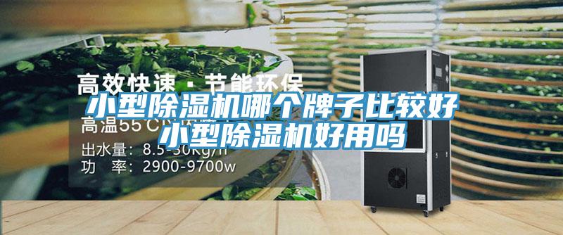 小型小黄片软件免费下载哪個牌子比較好 小型小黄片软件免费下载好用嗎