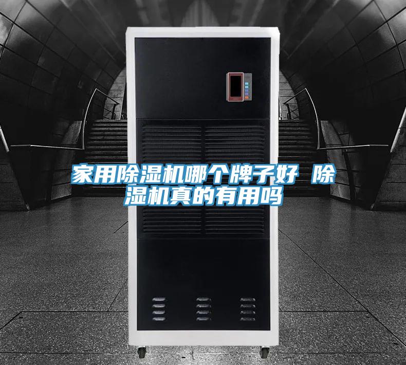家用小黄片软件免费下载哪個牌子好 小黄片软件免费下载真的有用嗎