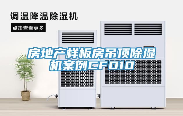 房地產樣板房吊頂小黄片软件免费下载案例CFD10