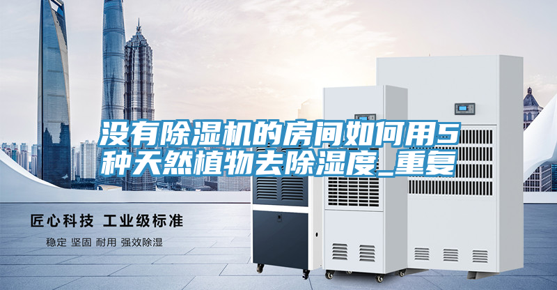 沒有小黄片软件免费下载的房間如何用5種天然植物去除濕度_重複
