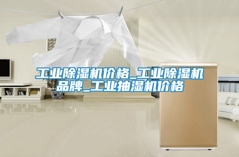 工業小黄片软件免费下载價格_工業小黄片软件免费下载品牌_工業抽濕機價格