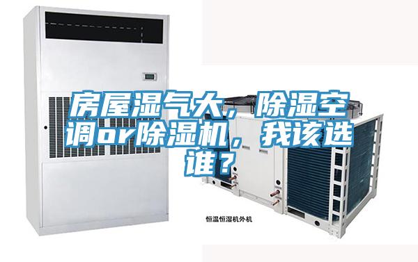 房屋濕氣大，除濕空調or小黄片软件免费下载，我該選誰？