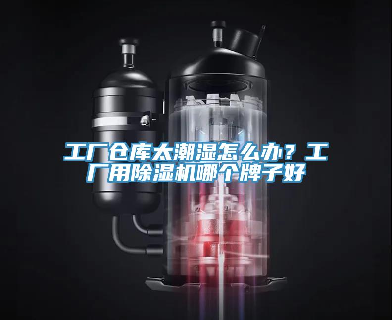 工廠倉庫太潮濕怎麽辦？工廠用小黄片软件免费下载哪個牌子好