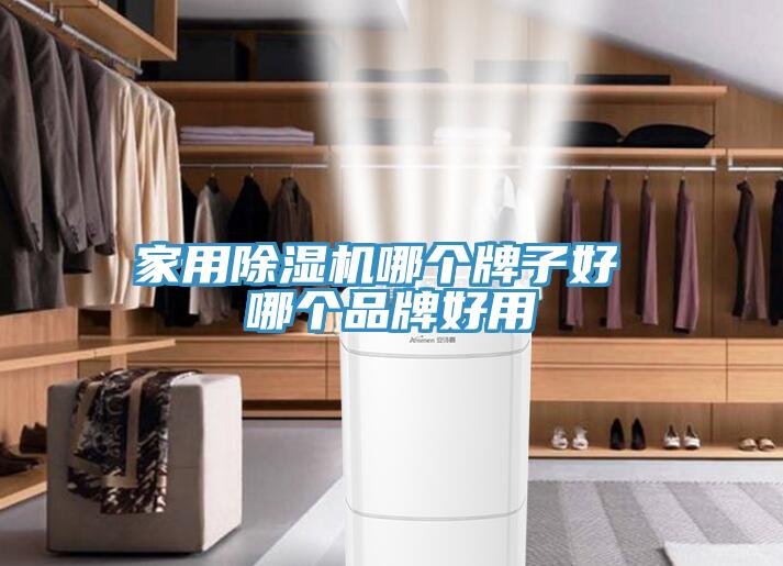 家用小黄片软件免费下载哪個牌子好 哪個品牌好用