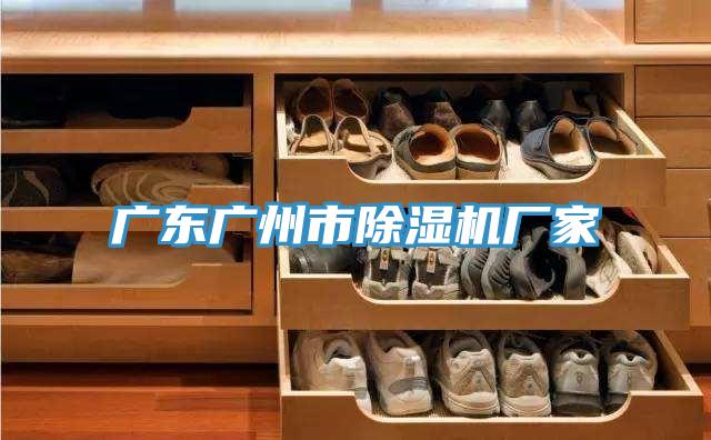 廣東廣州市小黄片软件免费下载廠家