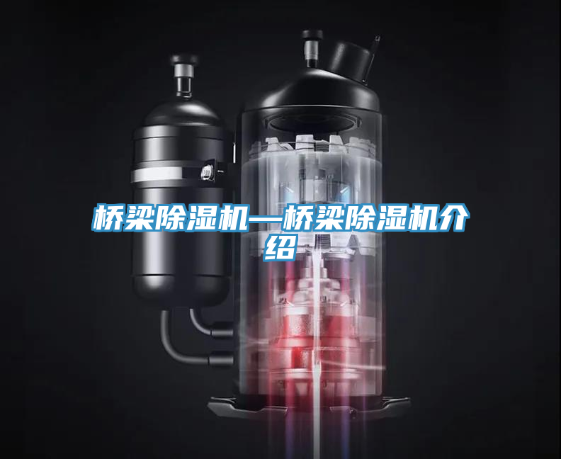 橋梁小黄片软件免费下载—橋梁小黄片软件免费下载介紹