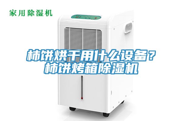 柿餅烘幹用什麽設備？柿餅烤箱小黄片软件免费下载