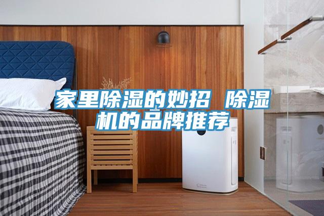 家裏除濕的妙招 小黄片软件免费下载的品牌推薦