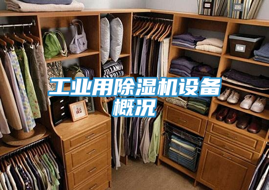 工業用小黄片软件免费下载設備概況