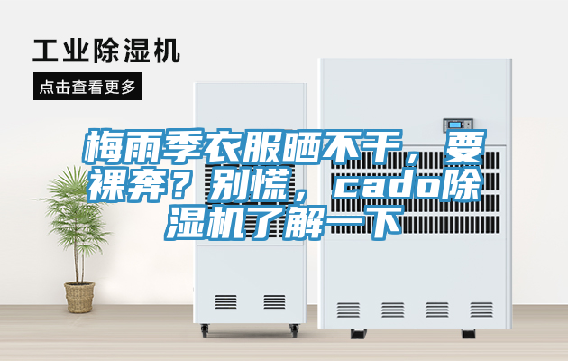 梅雨季衣服曬不幹，要裸奔？別慌，cado小黄片软件免费下载了解一下