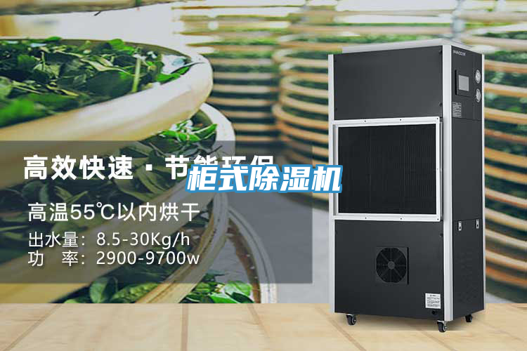 櫃式小黄片软件免费下载