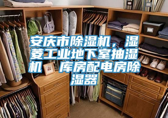 安慶市小黄片软件免费下载，濕菱工業地下室抽濕機  庫房配電房除濕器