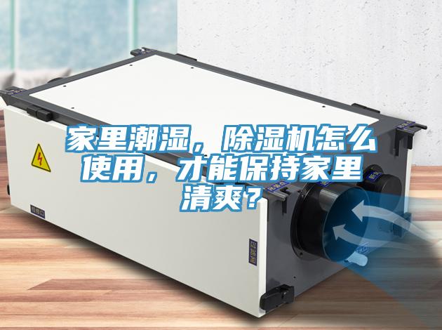 家裏潮濕，小黄片软件免费下载怎麽使用，才能保持家裏清爽？