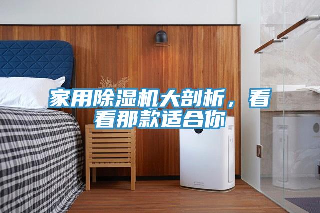 家用小黄片软件免费下载大剖析，看看那款適合你