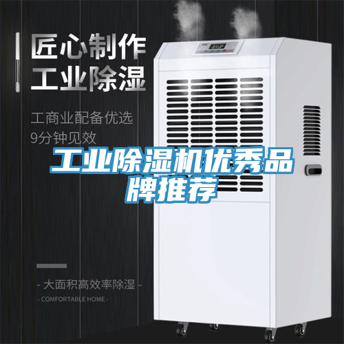 工業小黄片软件免费下载優秀品牌推薦
