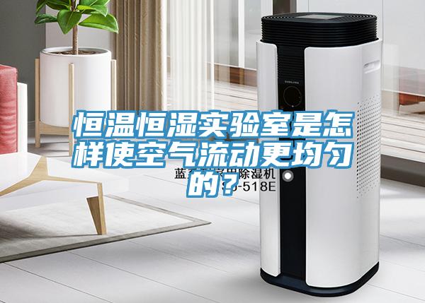 恒溫恒濕實驗室是怎樣使空氣流動更均勻的？