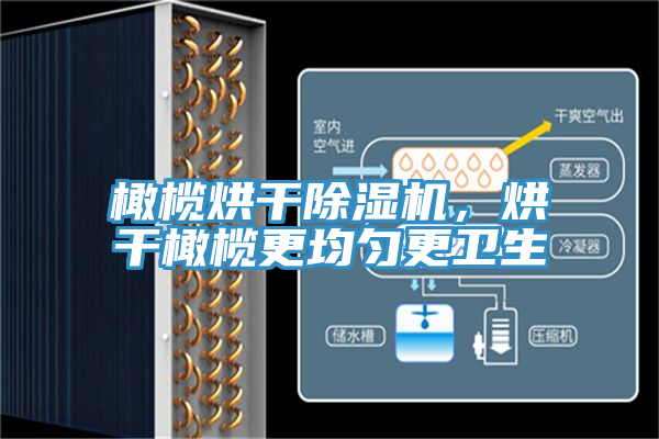 橄欖烘幹小黄片软件免费下载，烘幹橄欖更均勻更衛生