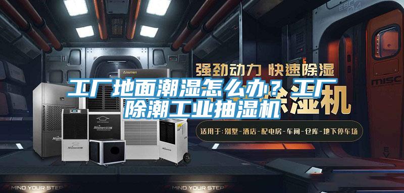 工廠地麵潮濕怎麽辦？工廠除潮工業抽濕機