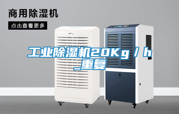 工業小黄片软件免费下载20Kg／h_重複