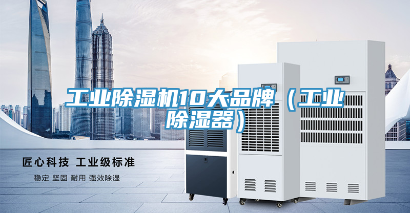 工業小黄片软件免费下载10大品牌（工業除濕器）