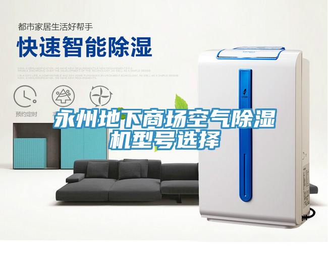 永州地下商場空氣小黄片软件免费下载型號選擇