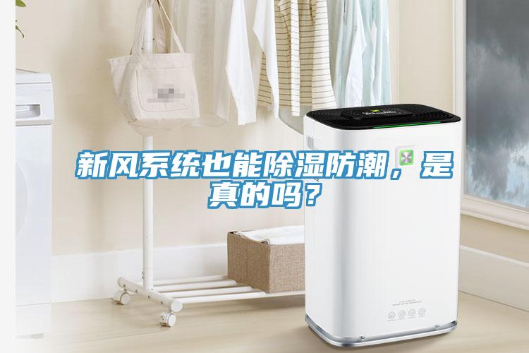 新風係統也能除濕防潮，是真的嗎？