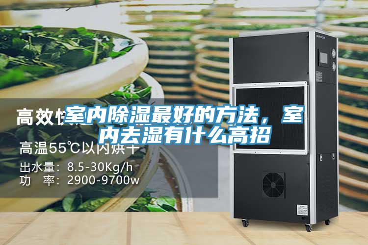 室內除濕最好的方法，室內去濕有什麽高招