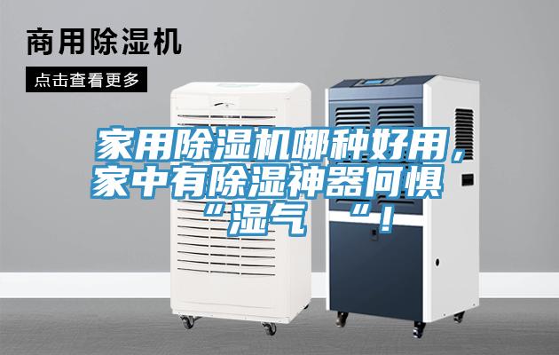 家用小黄片软件免费下载哪種好用，家中有除濕神器何懼 “濕氣 “！