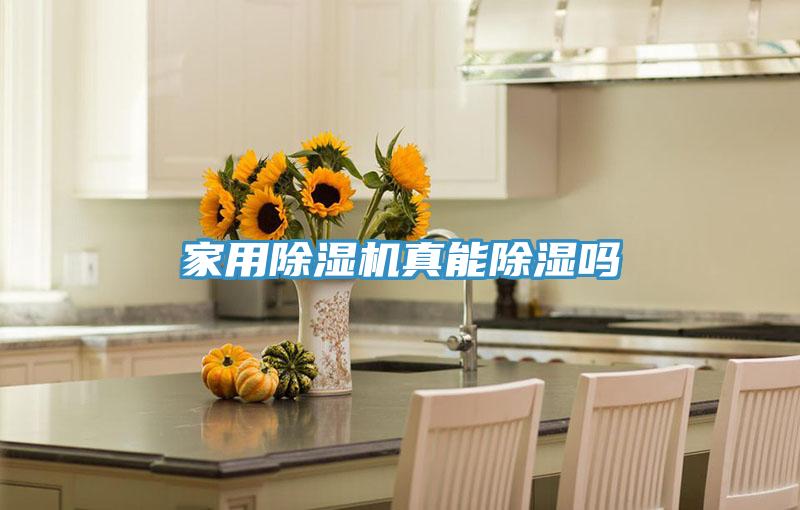 家用小黄片软件免费下载真能除濕嗎