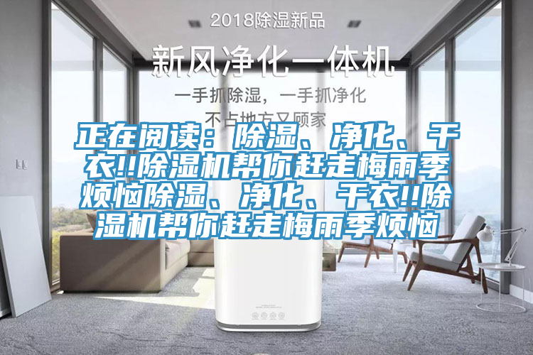 正在閱讀：除濕、淨化、幹衣!!小黄片软件免费下载幫你趕走梅雨季煩惱除濕、淨化、幹衣!!小黄片软件免费下载幫你趕走梅雨季煩惱