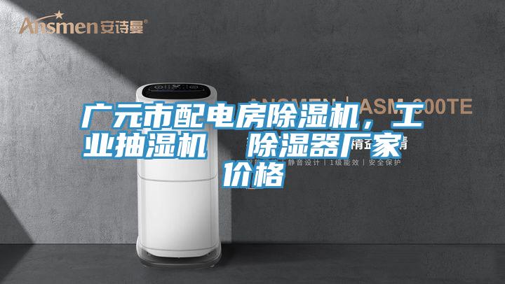 廣元市配電房小黄片软件免费下载，工業抽濕機  除濕器廠家 價格