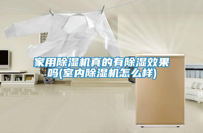 家用小黄片软件免费下载真的有除濕效果嗎(室內小黄片软件免费下载怎麽樣)