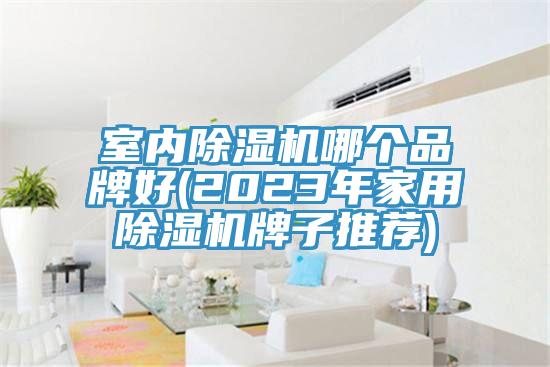 室內小黄片软件免费下载哪個品牌好(2023年家用小黄片软件免费下载牌子推薦)