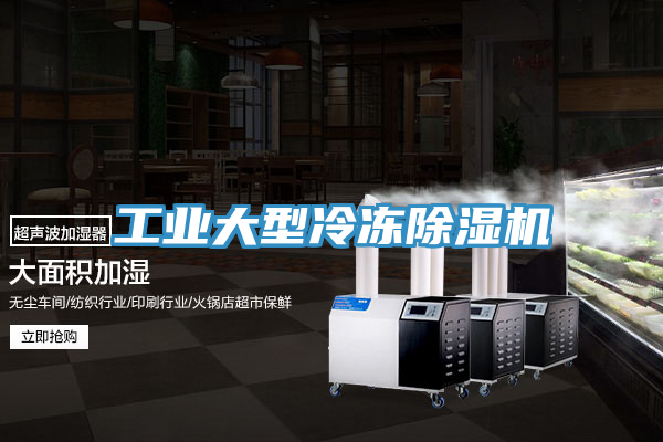 工業大型冷凍小黄片软件免费下载