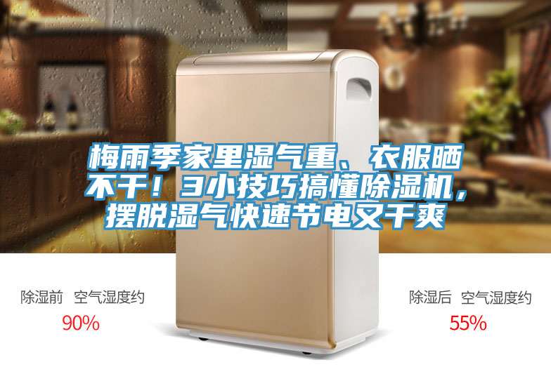 梅雨季家裏濕氣重、衣服曬不幹！3小技巧搞懂小黄片软件免费下载，擺脫濕氣快速節電又幹爽