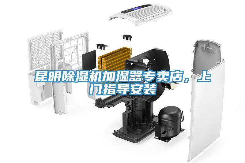 昆明小黄片软件免费下载加濕器專賣店，上門指導安裝