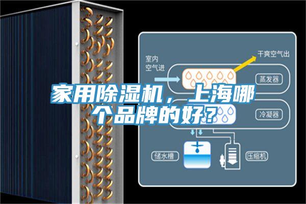 家用小黄片软件免费下载，上海哪個品牌的好？