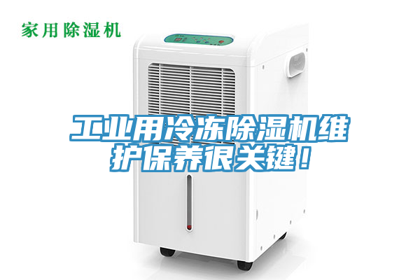 工業用冷凍小黄片软件免费下载維護保養很關鍵！