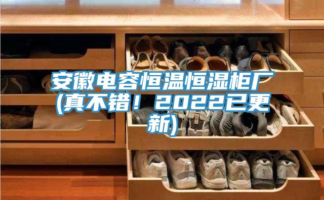 安徽電容恒溫恒濕櫃廠(真不錯！2022已更新)
