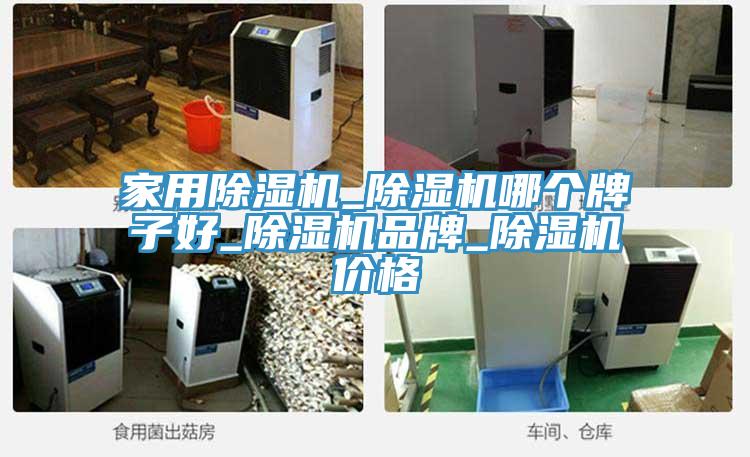 家用小黄片软件免费下载_小黄片软件免费下载哪個牌子好_小黄片软件免费下载品牌_小黄片软件免费下载價格