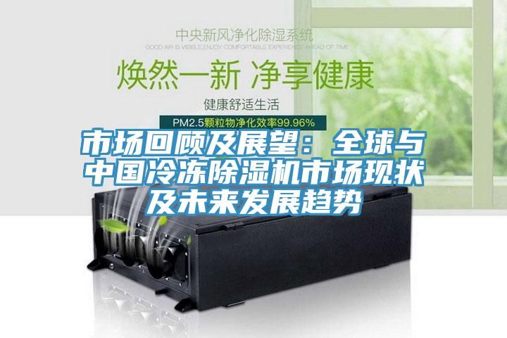 市場回顧及展望：全球與中國冷凍小黄片软件免费下载市場現狀及未來發展趨勢