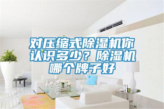 對壓縮式小黄片软件免费下载你認識多少？小黄片软件免费下载哪個牌子好
