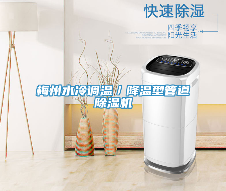 梅州水冷調溫／降溫型管道小黄片软件免费下载