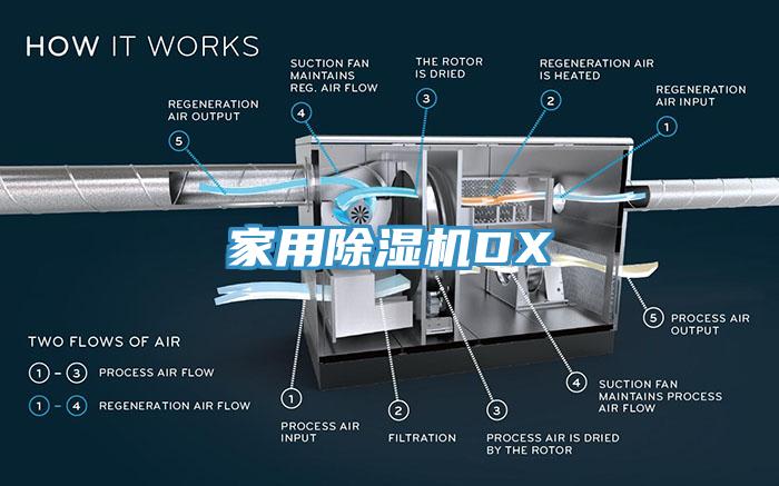 家用小黄片软件免费下载DX