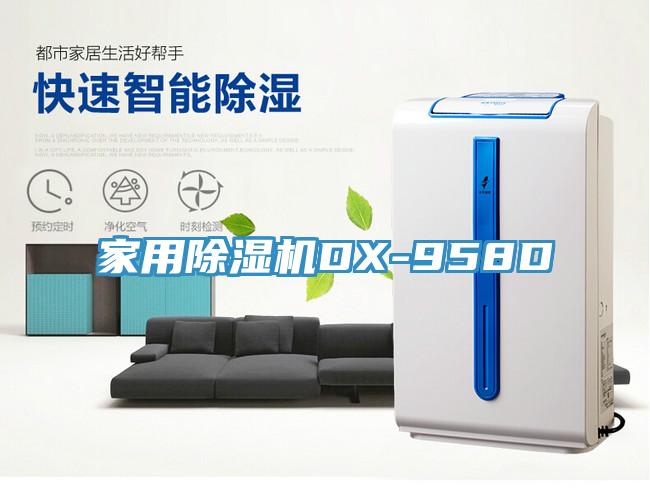 家用小黄片软件免费下载DX-958D
