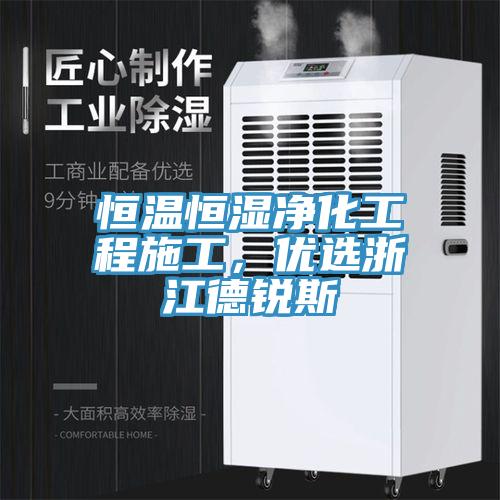 恒溫恒濕淨化工程施工，優選浙江德銳斯