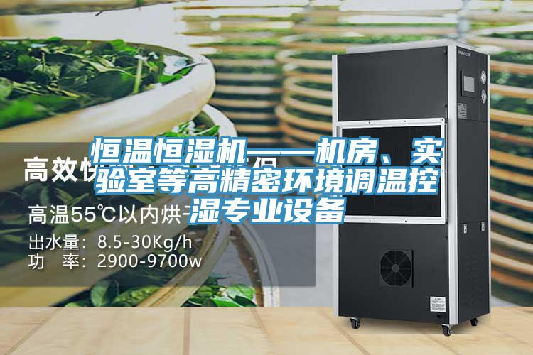 恒溫恒濕機——機房、實驗室等高精密環境調溫控濕專業設備