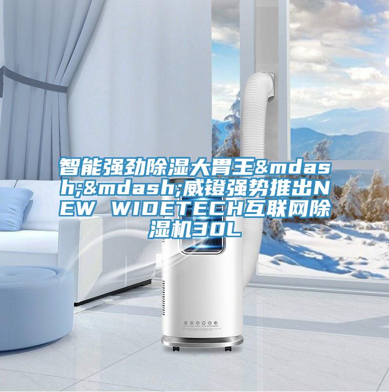 智能強勁除濕大胃王——威鐙強勢推出NEW WIDETECH互聯網小黄片软件免费下载30L