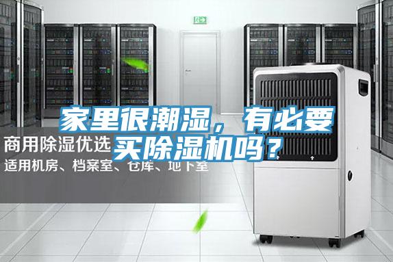 家裏很潮濕，有必要買小黄片软件免费下载嗎？